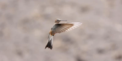 idf 03 11 2025 13 15