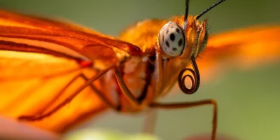 idf 03 11 2025 12 58