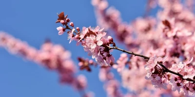 idf 03 11 2025 13 10