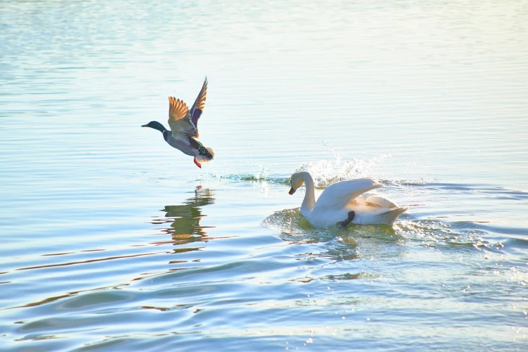 idf 03 11 2025 12 57