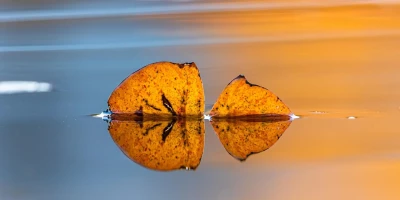 idf 03 11 2025 13 14