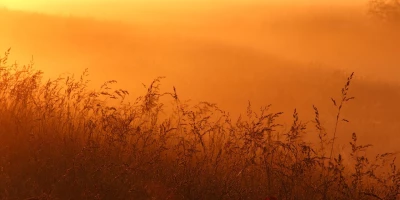 idf 03 11 2025 13 02