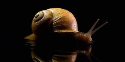 idf 03 11 2025 12 56