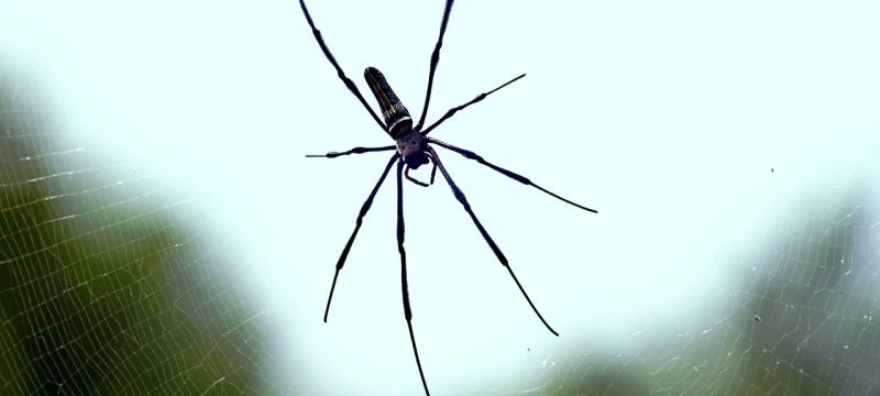 Cosne-Cours-sur-Loire