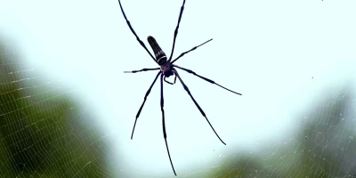 idf 03 11 2025 13 01