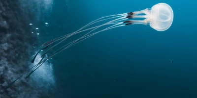 idf 03 11 2025 13 00