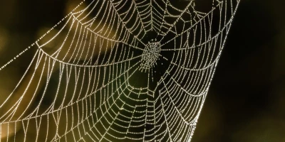 idf 03 11 2025 12 59