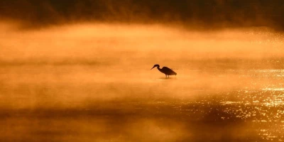 idf 03 11 2025 13 02