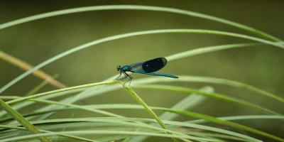 idf 03 11 2025 13 04