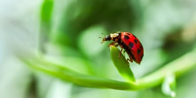 idf 03 11 2025 13 07