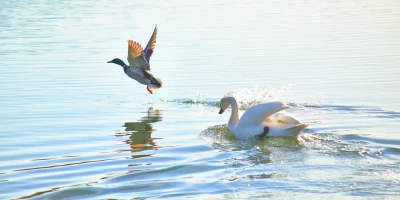 idf 03 11 2025 12 57