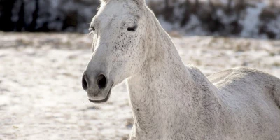 idf 03 11 2025 13 09