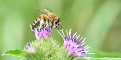 idf 03 11 2025 13 03