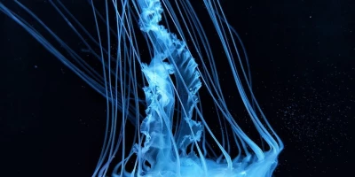 idf 03 11 2025 12 58