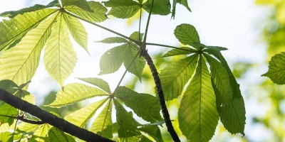 idf 03 11 2025 13 08