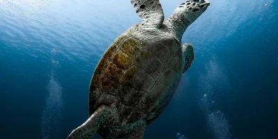 idf 03 11 2025 13 11